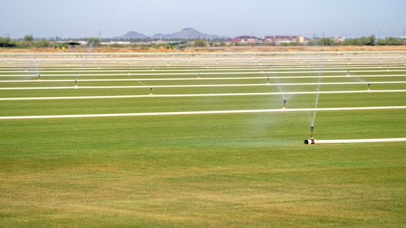 Smart Irrigation AI
